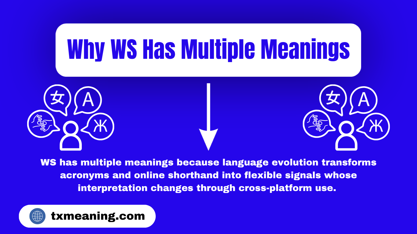 WS Meaning In Text